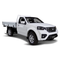 Ute (single cab only) Ceramic Paint Protection Double Coat